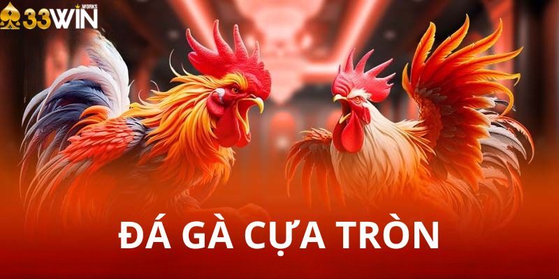Đá Gà Cựa Tròn – Đỉnh Cao Giải Trí Cá Cược Mỗi Ngày
