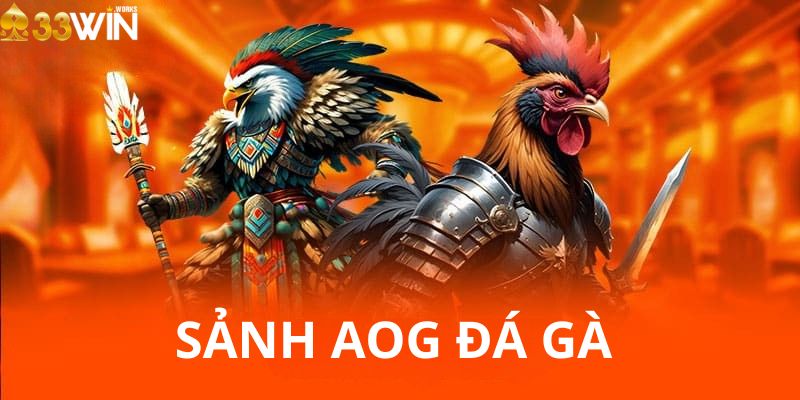 Tổng quan về sảnh AOG đá gà – Điểm đến của những cuộc đấu chân thực